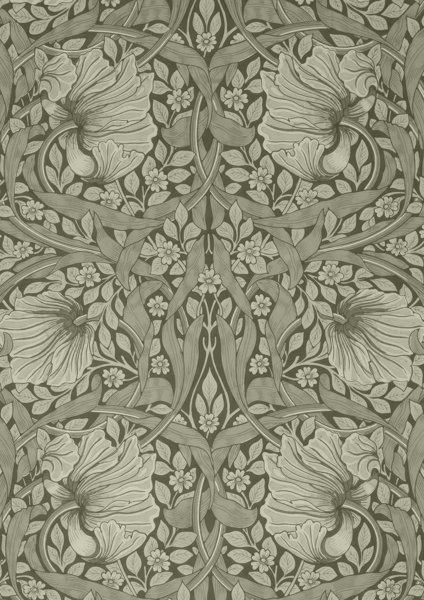 Pimpernel Print, Heritage Floral Wall Art