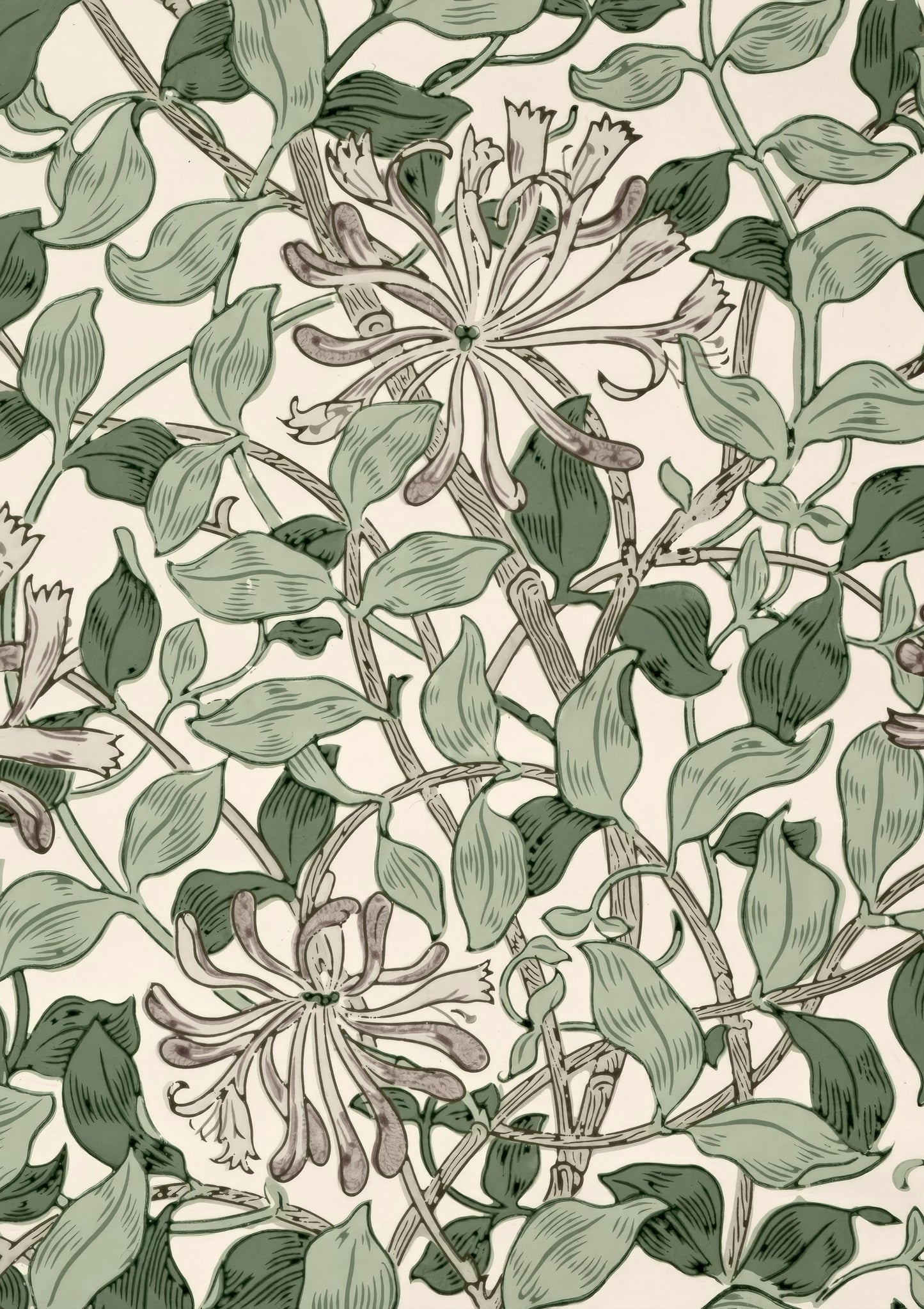 Honeysuckle Print, Heritage Floral Wall Art