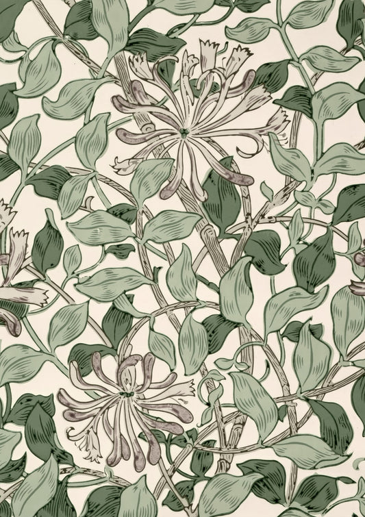 Honeysuckle Print, Heritage Floral Wall Art