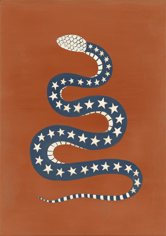 Stars and Stripes Snake Print, Folk Wall Art