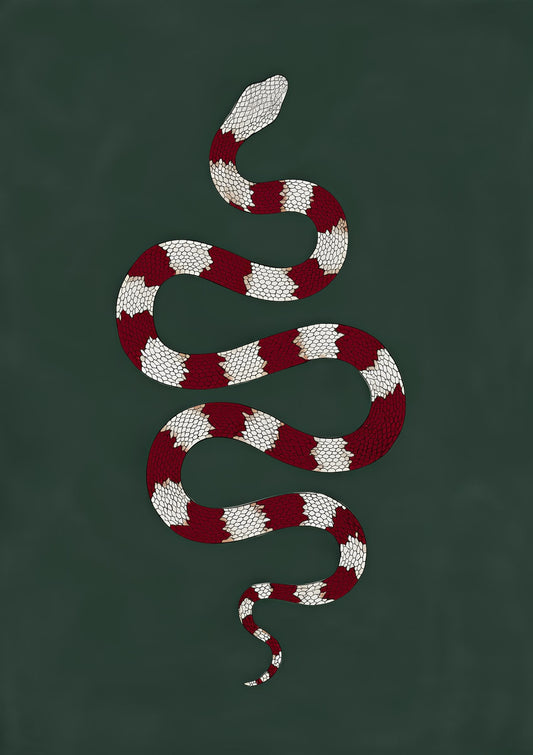 Folk Snake Print, Red and White Wall Art