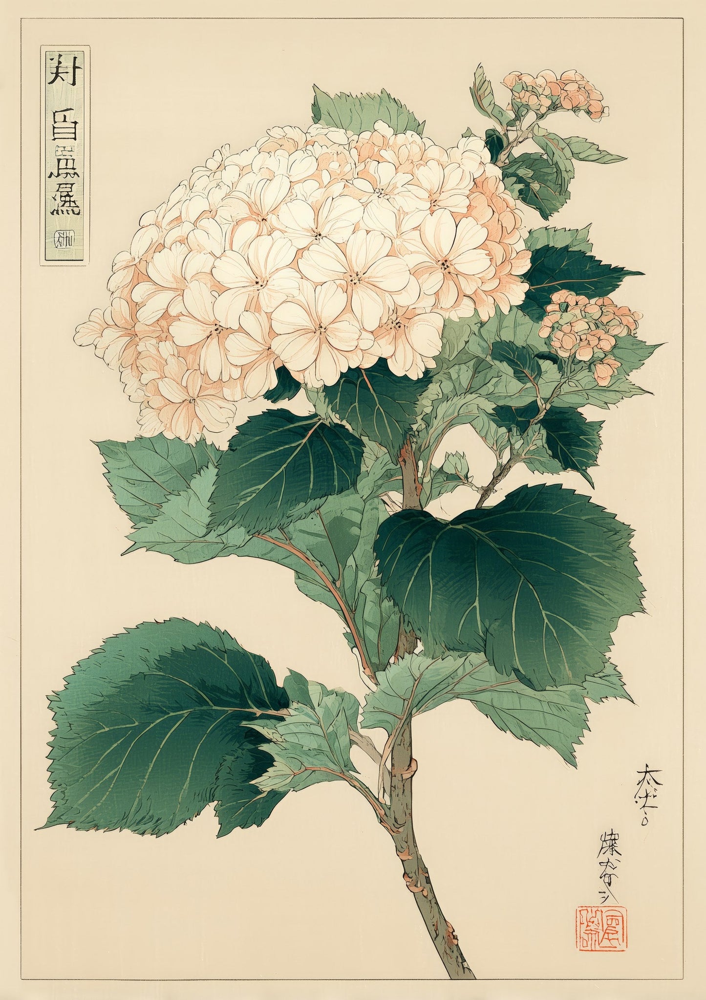 White Hydrangea Print, Japanese Botanical Wall Art