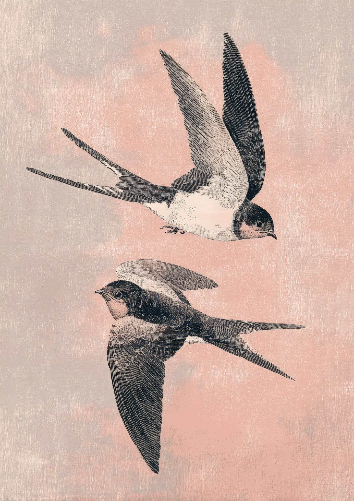 Swallows Print, Japanese Bird Wall Art