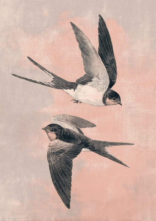 Swallows Print, Japanese Bird Wall Art