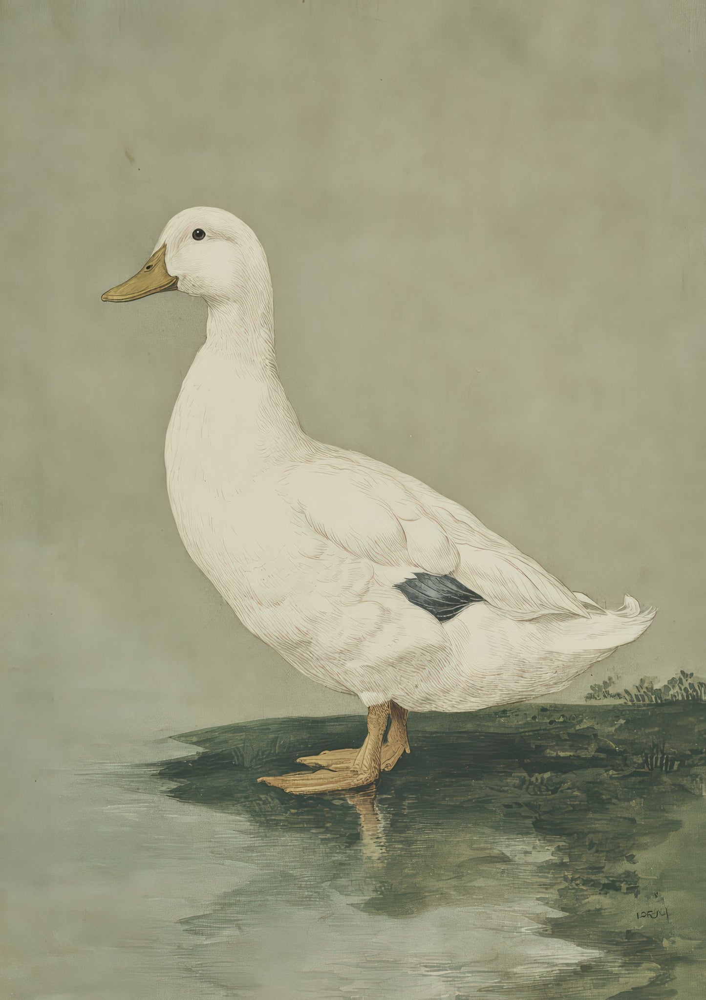 White Duck Print, Painterly Animal Wall Art