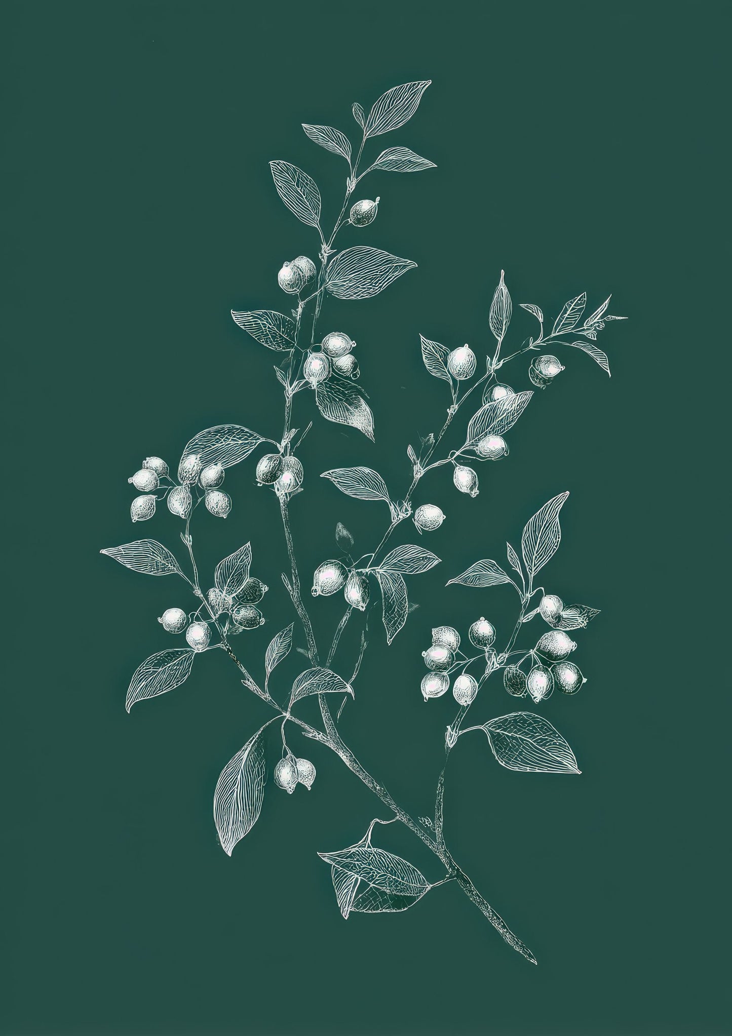 Sage Sprig Print, Minimalist Botanical Wall Art