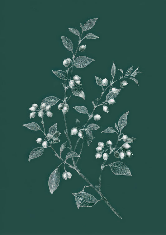 Sage Sprig Print, Minimalist Botanical Wall Art