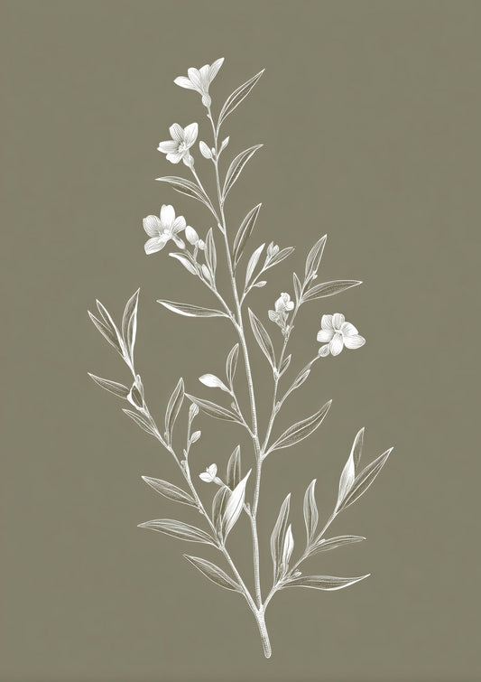 White Blossom Sprig Print, Minimalist Botanical Wall Art