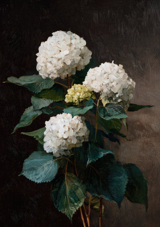White Hydrangeas Print, Dramatic Floral Wall Art